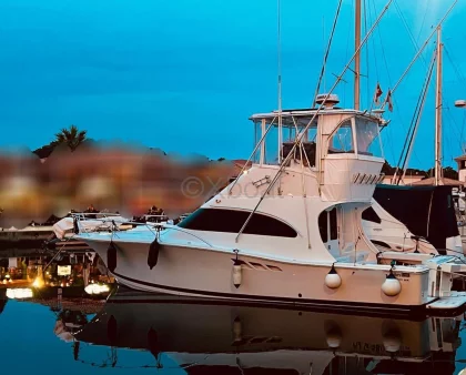 Used Motorboat LUHRS 36 CONVERTIBLE