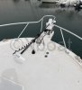Used Motorboat LUHRS 36 CONVERTIBLE