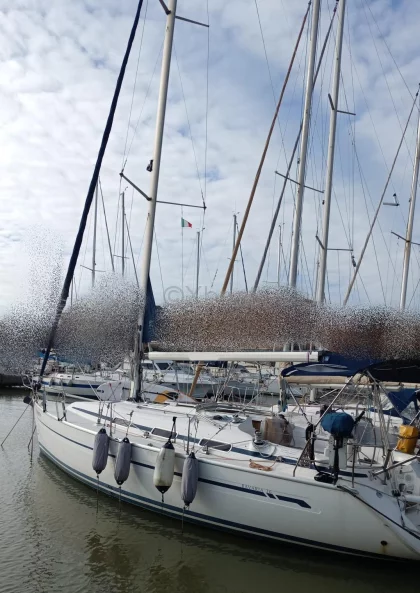 Sailboat BAVARIA 36 CRUISER