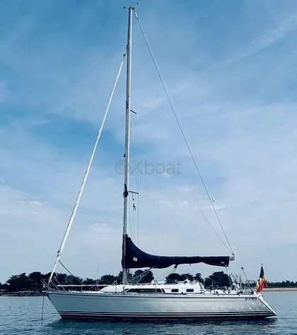 Sailboat WINNER 11.20