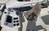 Used Motorboat JEANNEAU VELASCO 37