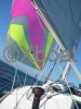 Technical sheet FIRST 31.7