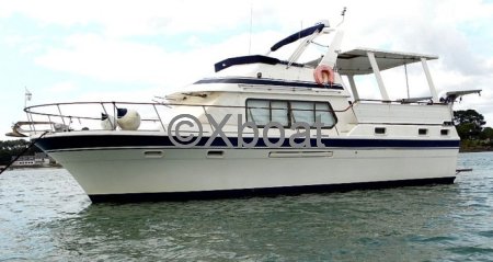 Used Motorboat TARQUIN TRADER 41 2 TRAWLER