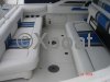 Technical sheet SEA RAY 310 SUNDANCER