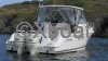 Technical sheet WELLCRAFT COASTAL 290