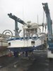Technical sheet TEASER 31
